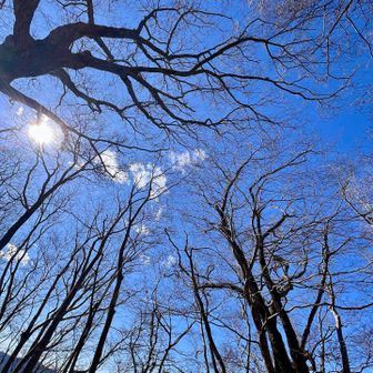 冬の空の青さが好きだ😍