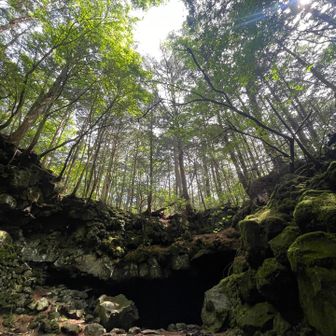 冷蔵庫の中の温度
涼しいぃ
神秘的