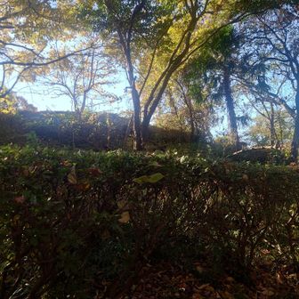 つつじ山は山頂表記無し
普通の公園