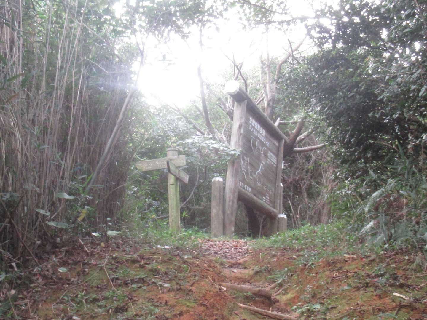 大きな案内板の分岐
