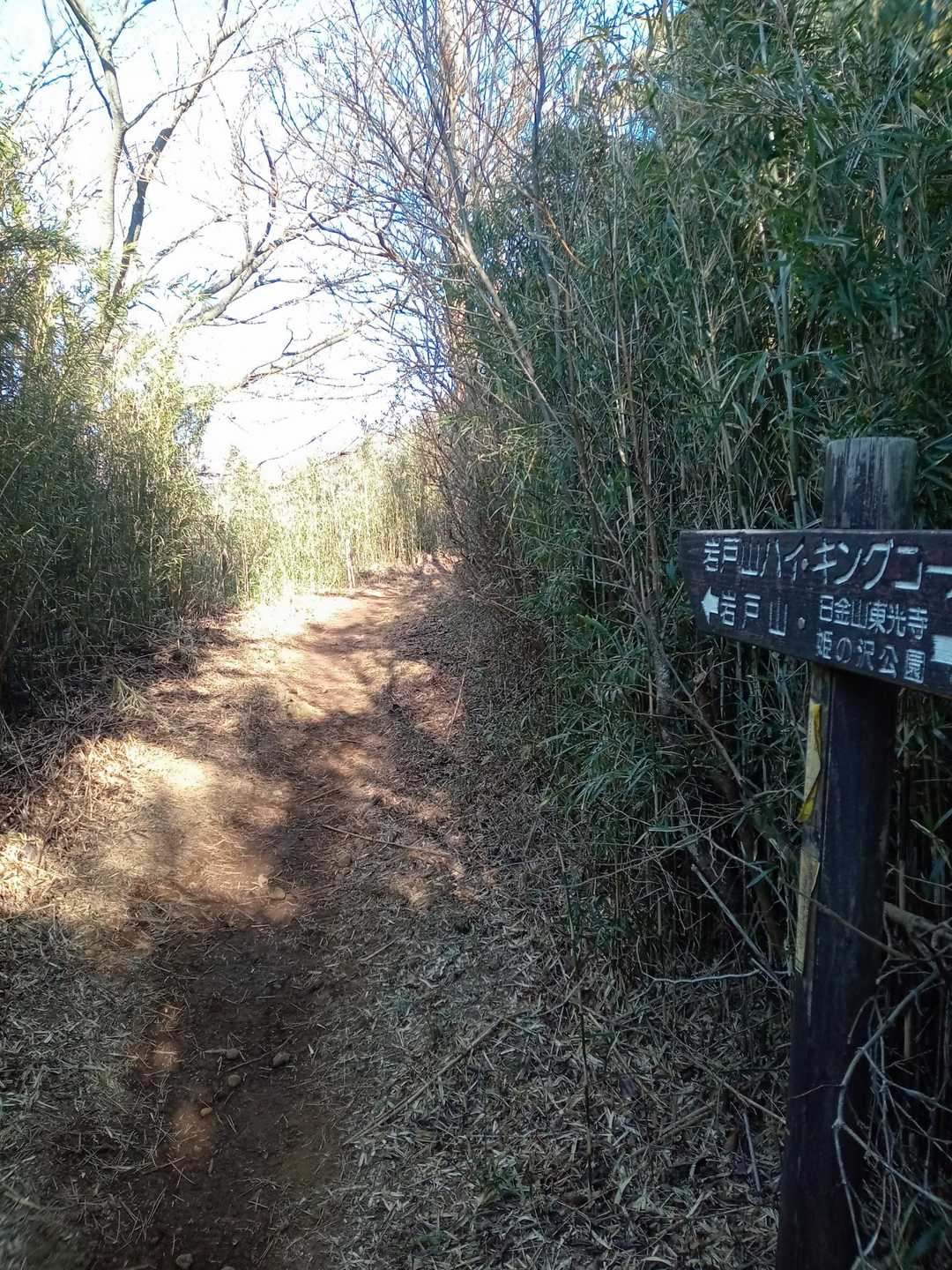 日金山-東光寺-岩戸山 往復コースの写真