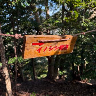 予定と違うルートで下山
「イノシシ新道」　

名前から怪しいと思ったですが…