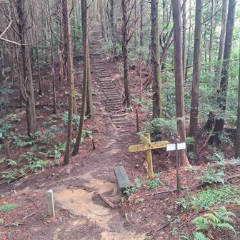 岩橋峠👣