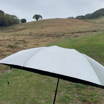 木があるとこ以外は傘さして

藪漕ぎと雨…ゲーター必要だったな🤣