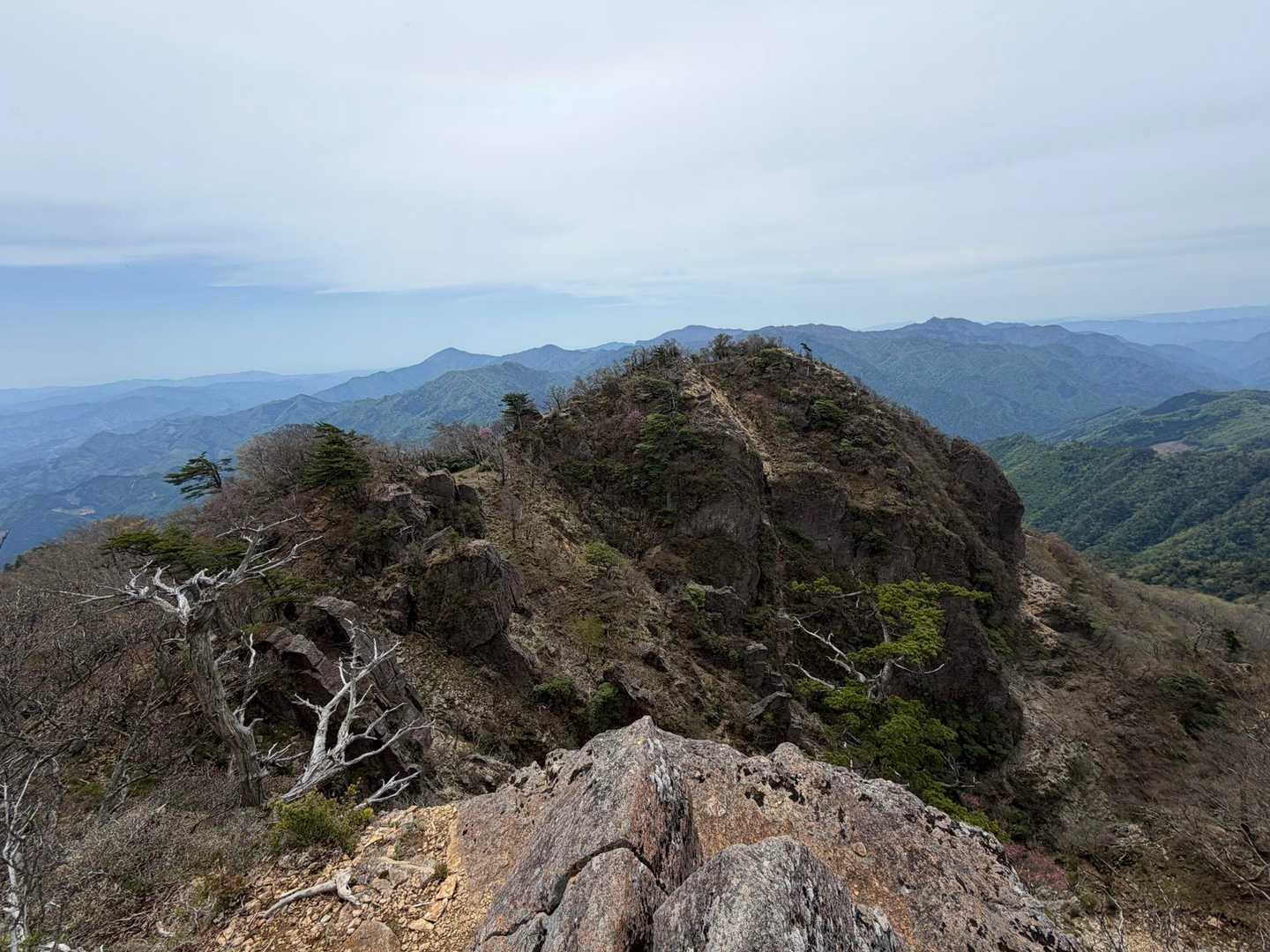 杉ヶ越登山口-傾山 往復コースの写真