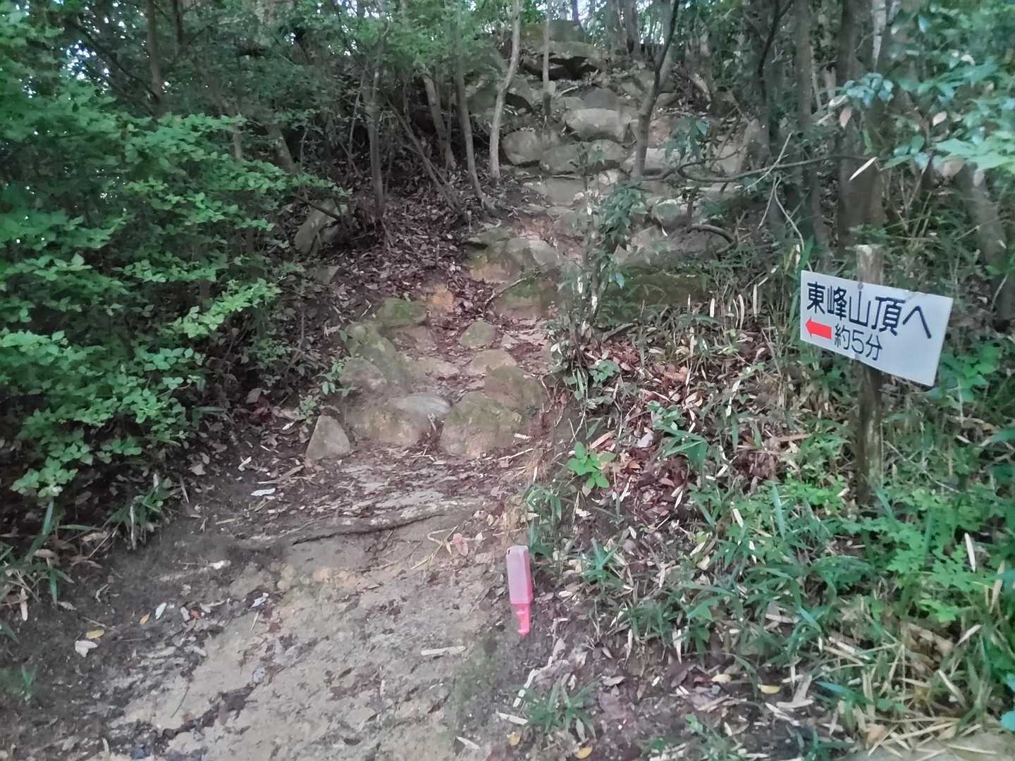20分も登ると「山頂まで@5分」看板🏁
すっかり明るくなりました☀