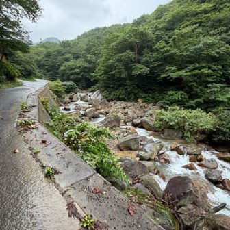 ここが一番の難所の、よっこいしょポイント
高さあり過ぎ