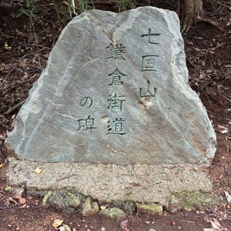 グレーピークの七国山