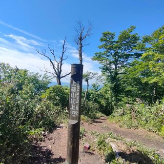 上蒜山到着　お疲れ様です！
疲れたー