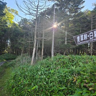 麦草峠🅿️