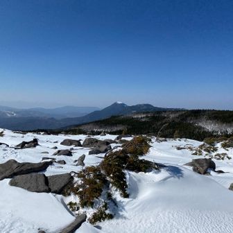 中山に行く途中で開けた😄
