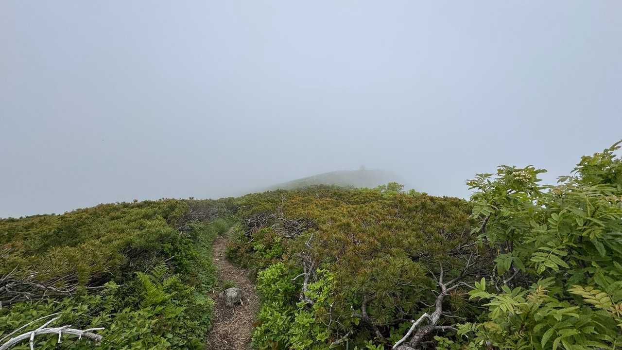八甲田山（大岳・井戸岳・赤倉岳）／青森遠征Day2 の写真 27