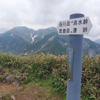 とうちゃこ〜