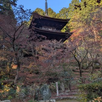 疲れが出だした時間帯、それでもこの私のパチリンコは立派🤩と自動的に自画自讃🤗
