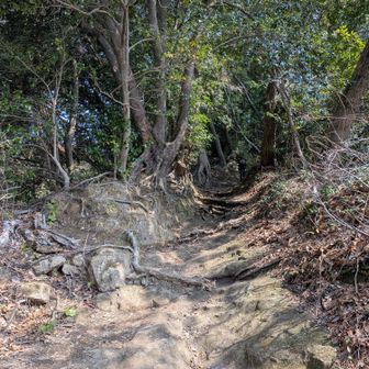 瑞泉寺から浄妙寺へショートカットの山道。すぐ横は団地なんですけどね。