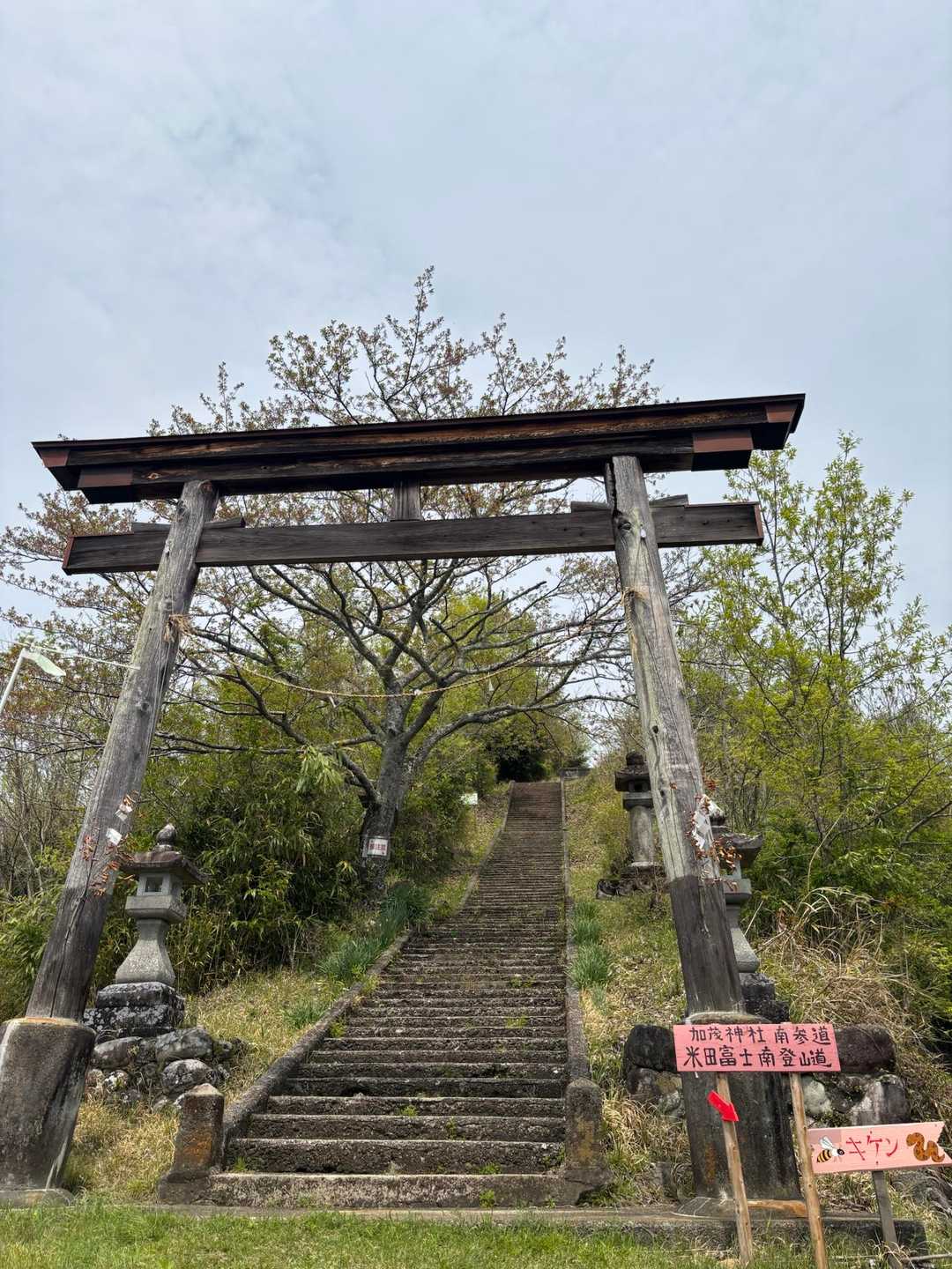 ここから登ります