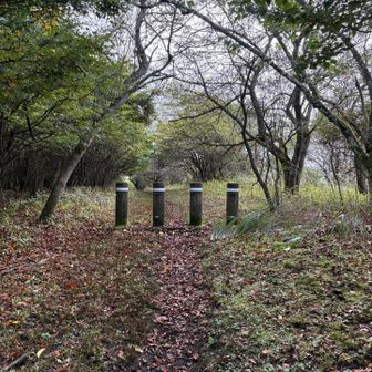 イモ山はこの辺りだが山頂標識は無い
