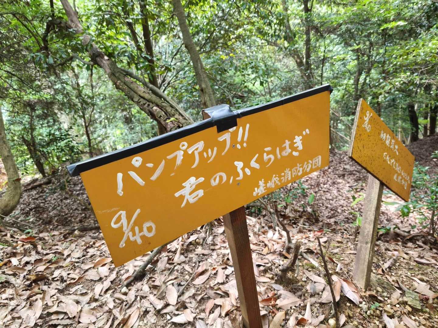 愛宕山往復 | 全国に約900社を数える愛宕神社総本宮への参詣登山の写真