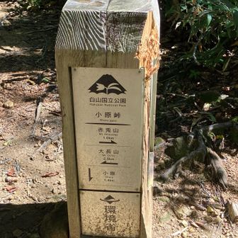 赤兎から小原峠まで、あっという間に戻ってきたけど、ここからが本丸