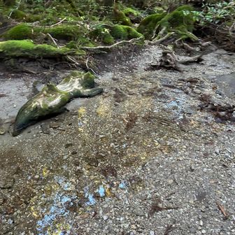 お水、美味しかったです😊