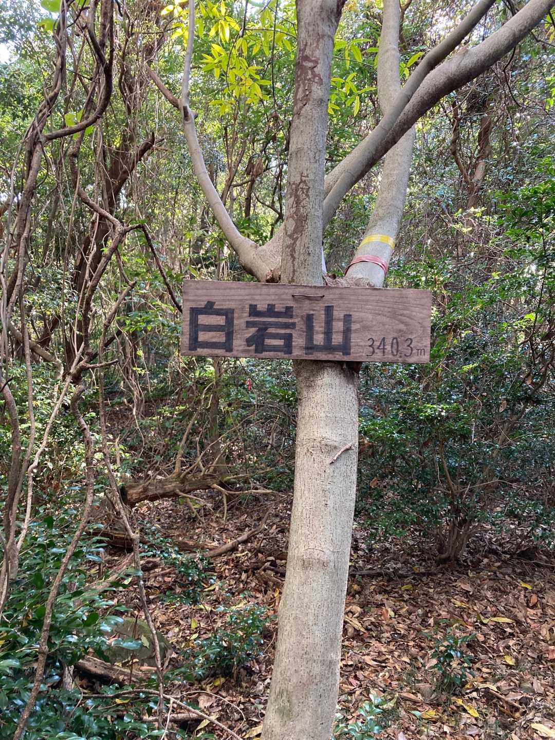白岩山、やっと山頂標識がありました🙂