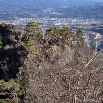 振り返ってまたビビる😵‍💫
