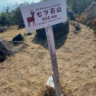 ７つ石山頂上着いた