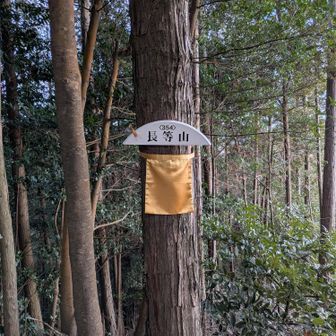 長等山山頂に到着