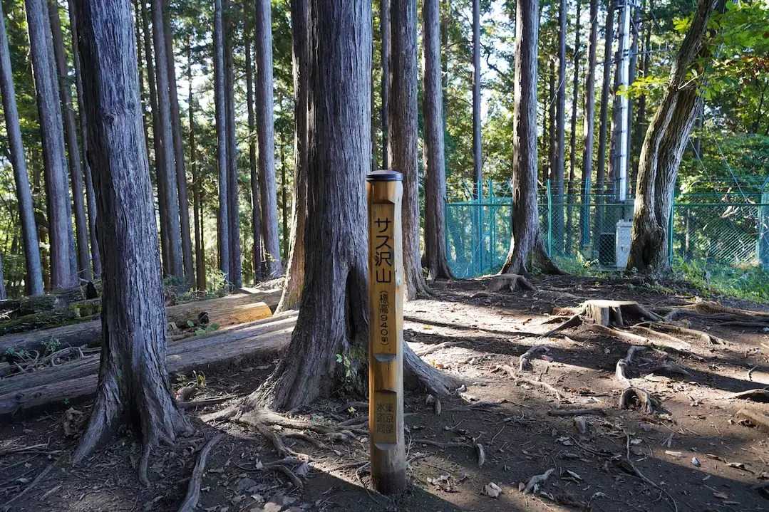 指沢山（サス沢山）の写真