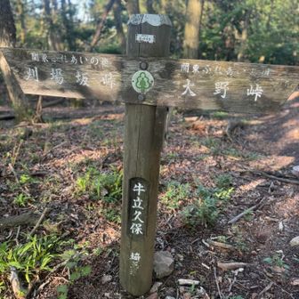 牛立久保
