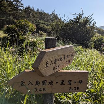 📱トラブルで
何か悪い予感が！？
気をつけて
ゆっくり歩くか！！