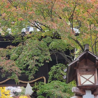 まずは東雲神社の石段を駆け上がって、
気持ちだけでもお山モードに戻しておきます(^^ゞ