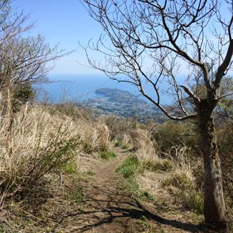 南郷山からちょっと降りると真鶴半島の展望最高