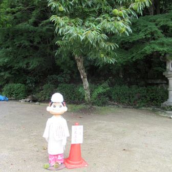 四条畷神社のペコちゃん
なんと「落栗注意」の看板とヘルメット着用。上には大きな栗。ピントは栗🌰。