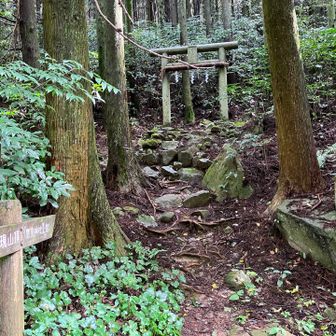 ここから権現山へ向かいます。