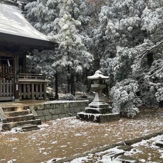西の宮では雪の重みで。