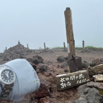 11:02 秋田駒ヶ岳山頂！
（男女岳！）
ｼﾞｪﾝﾀﾞｰﾌﾘｰの時代かもですが😁
