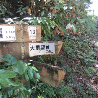 山頂へ