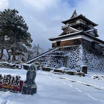 2026年1月12日（月祝）雪の丸岡城🏯