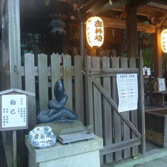 狛巳