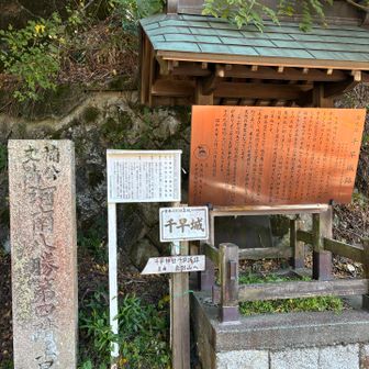 千早城址の看板なければ城とわからない佇まい🏯
100名城なんやけどね。