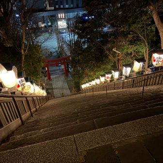 出世の階段、先週登ったので今日は見るだけ