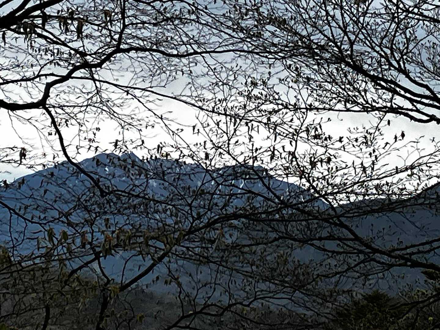 鳳凰三山のオベリスクが見えるような…