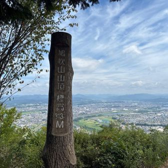 三座目
鳩吹山山頂　313.5m