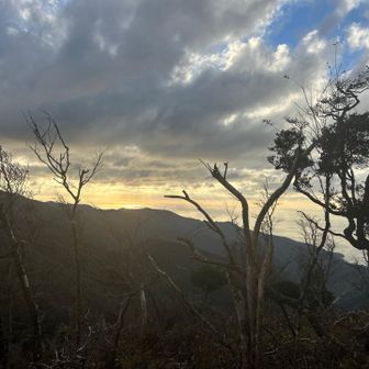 バスに間に合ったのかな⁈