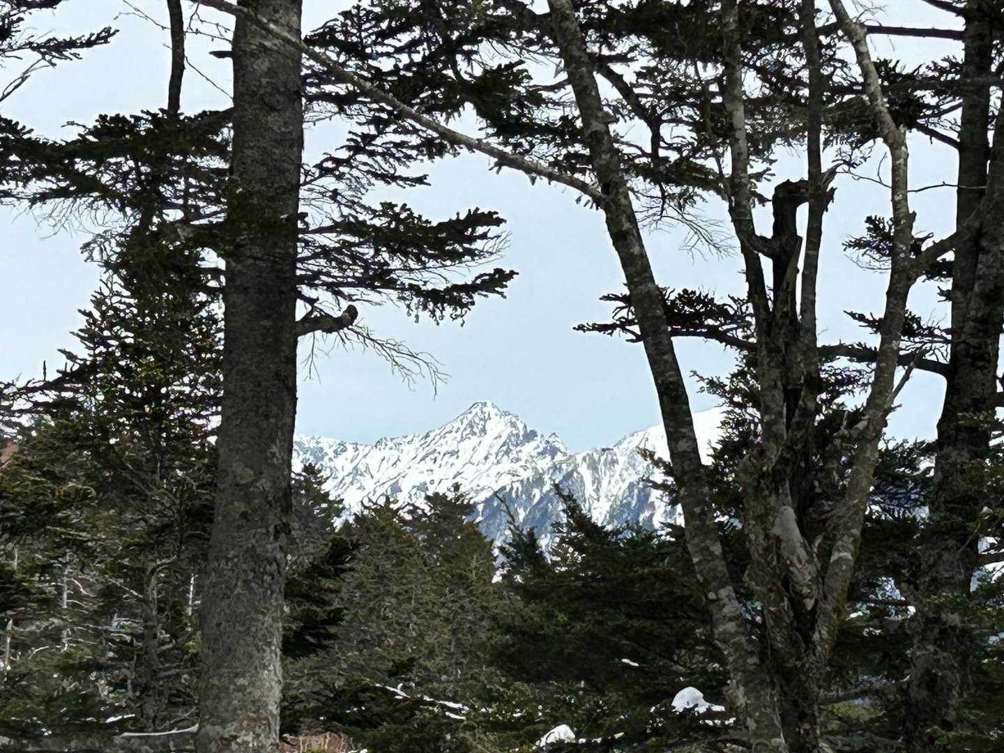 十石山 往復コースの写真