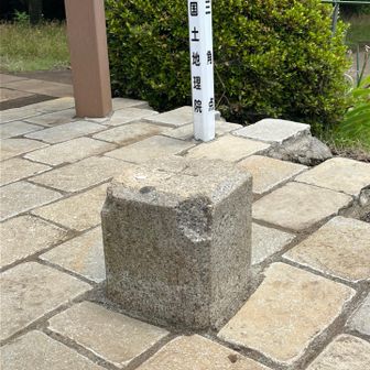 こんな綺麗な状態なの、なかなかレアな気がしました（いつも山の中で見てるから？）