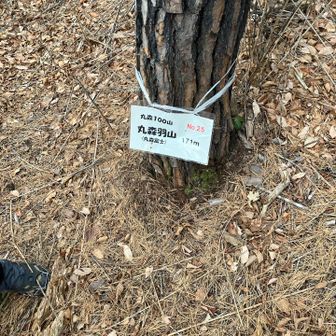 丸森百名山の丸森羽山