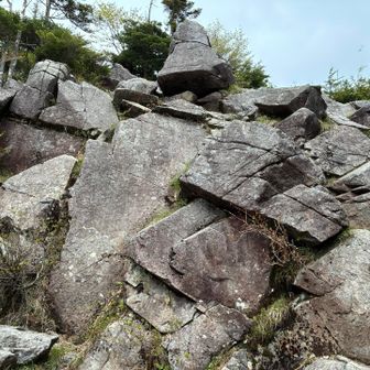 小屋裏の岩を登ると展望があるようだ