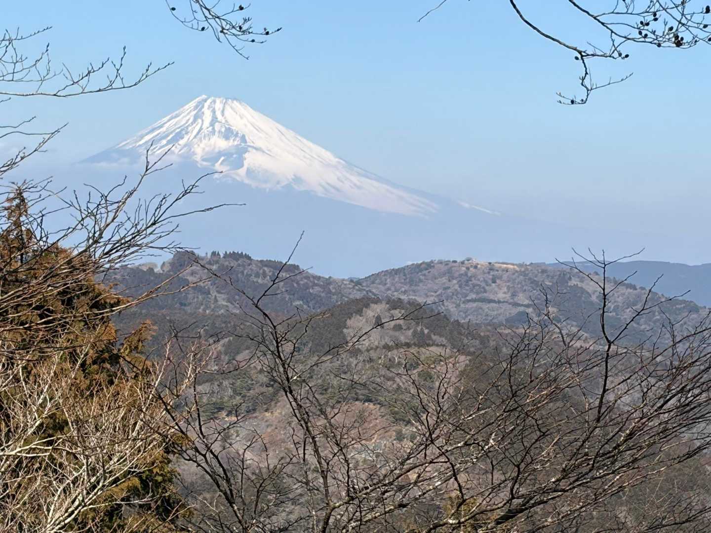 大平山-柏峠 縦走コースの写真